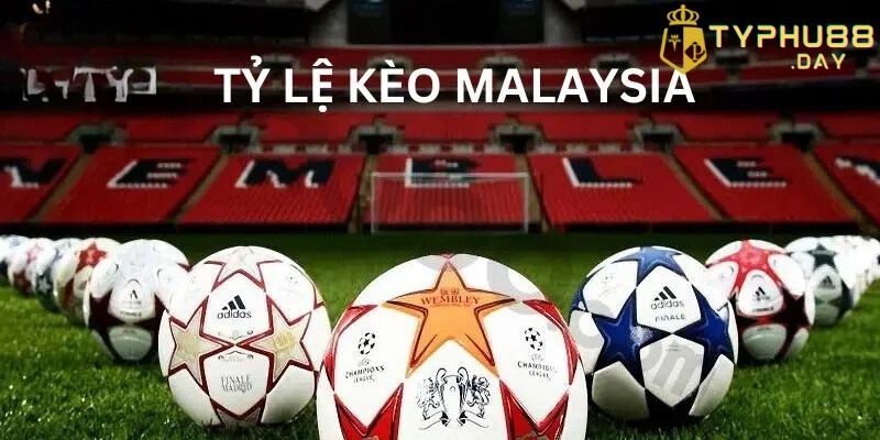 Tỷ Lệ Kèo Malaysia Là Gì: Giải Đáp Chi Tiết và Đầy Đủ 1 Tìm hiểu tỷ lệ kèo Malaysia là gì?